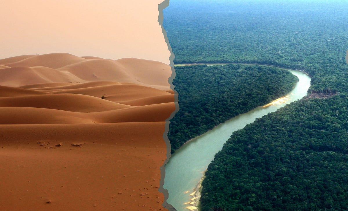 Vén màn bí mật từ Sahara nuôi sống rừng Amazon ở 2026 - Ảnh 1.