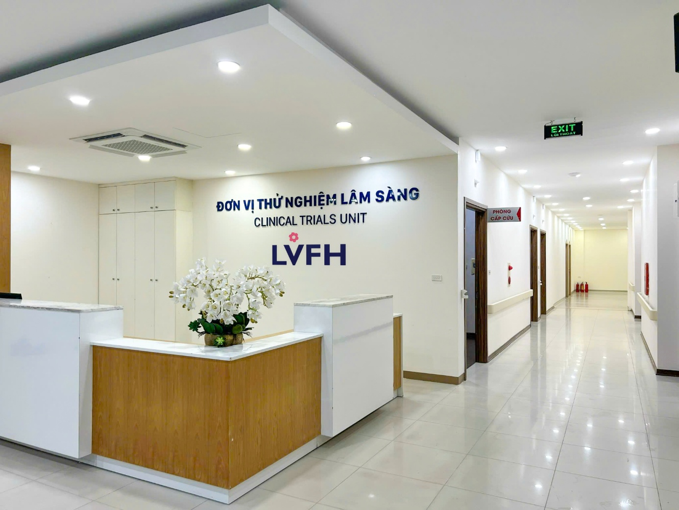 Đảm Bảo Đạo Đức trong Các Thử Nghiệm Lâm Sàng: Trách Nhiệm và Quy Định Tại Việt Nam
