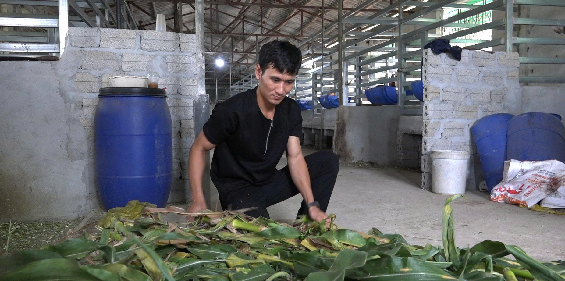 Hàng ngày anh Bình chuẩn bị thức ăn cho hươu - Ảnh 1.