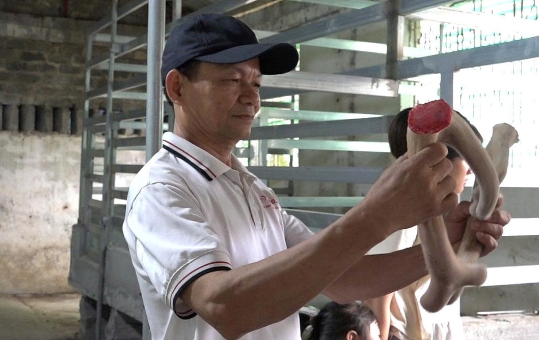 Khai thác nhung hươu mang lại giá trị kinh tế cao - Ảnh 5.