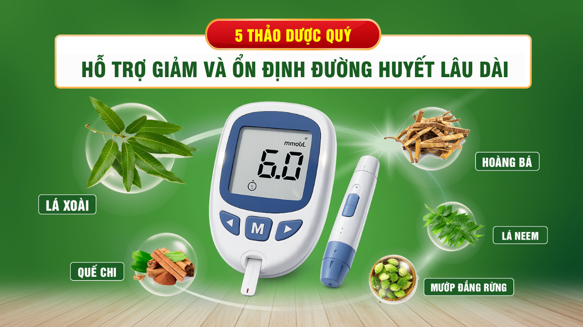 2-1786002316900416412713 Dấu hiệu cảnh báo lượng đường trong máu cao không nên bỏ qua- Ảnh 2.