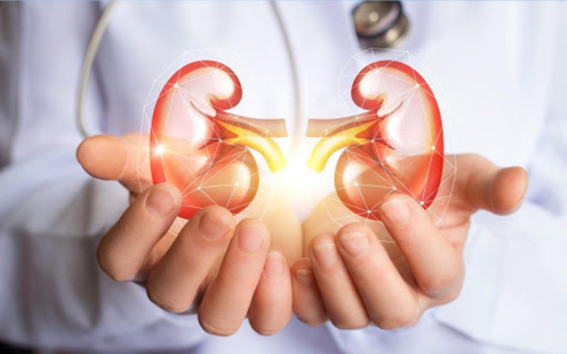 Lý Do Người Mắc Bệnh Thận Mạn Nên Xem Xét Sử Dụng Statin