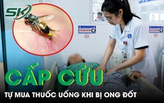 Cuộc Chiến Sinh Tồn Giữa Biển Cả: Một Hành Trình Nghẹt Thở