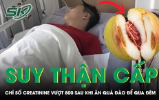 Nguyên Nhân và Hệ Lụy Khi Bị Ong Vò Vẽ Tấn Công