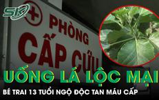 Chương Trình Truyền Hình Về Tầm Soát Sớm Bệnh Tim Mạch Và Những Điều Cần Biết
