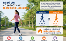 Khám Phá Tác Dụng Chữa Bệnh Nổi Bật Của Rễ Cỏ Xước