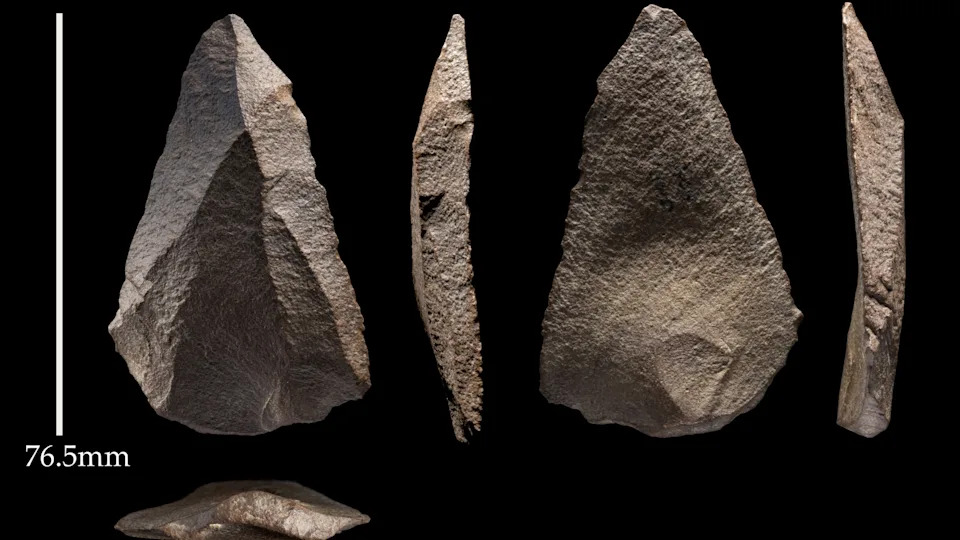 Khám Phá Công Cụ Đá Cổ: Những Bằng Chứng Mới Về Di Cư Của Người Neanderthal