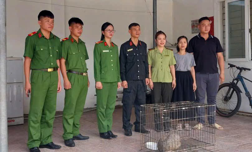 Cá Thể Tê Tê Quý Hiếm Nặng Gần 7 Kg Được Phát Hiện Ở Nghệ An