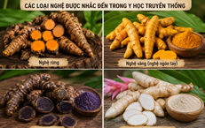 Khám Phá 7 Lợi Ích Bất Ngờ Khi Đi Bộ 2 Km Mỗi Ngày