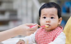 Những Lưu Ý Quan Trọng Khi Sử Dụng Mướp Đắng