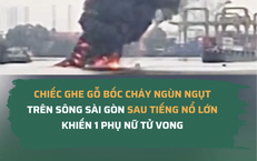 Khám Phá Công Dụng Tuyệt Vời Của Loại Lá Thường Gặp Trong Vườn