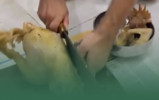 Khám Phá 3 Khoảnh Khắc Quan Trọng Để Giúp Gan Hồi Phục Tốt Hơn