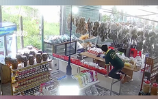 Hiểu Rõ Về Ung Thư Máu: Cơ Hội Và Giải Quyết Tình Trạng