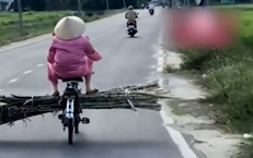 Câu Chuyện Đau Thương của Bé Gái 9 Tuổi Mắc Bệnh Dại Sau Vụ Cắn Chó