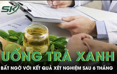 Chuyện Kỳ Diệu Với Rắn Trên Đường: Cảnh Tưởng Tượng Rùng Rợn Nhưng Thực Tế