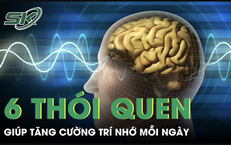 Khám Phá Công Dụng Đặc Biệt Của Củ Gừng Đối Với Sức Khỏe