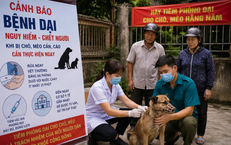 Tối Ưu Hóa Cấp Cứu Ngoại Vi: Thời Gian Vàng Được Bảo Tồn