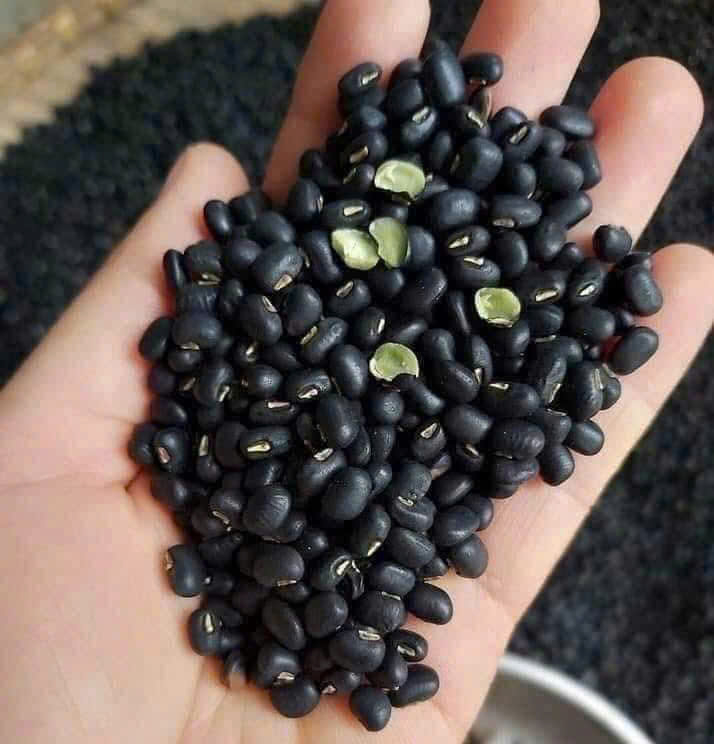 Hướng Dẫn Chế Biến Đậu Lành Mạnh Cho Người Trên 60 Tuổi - Ảnh 1.