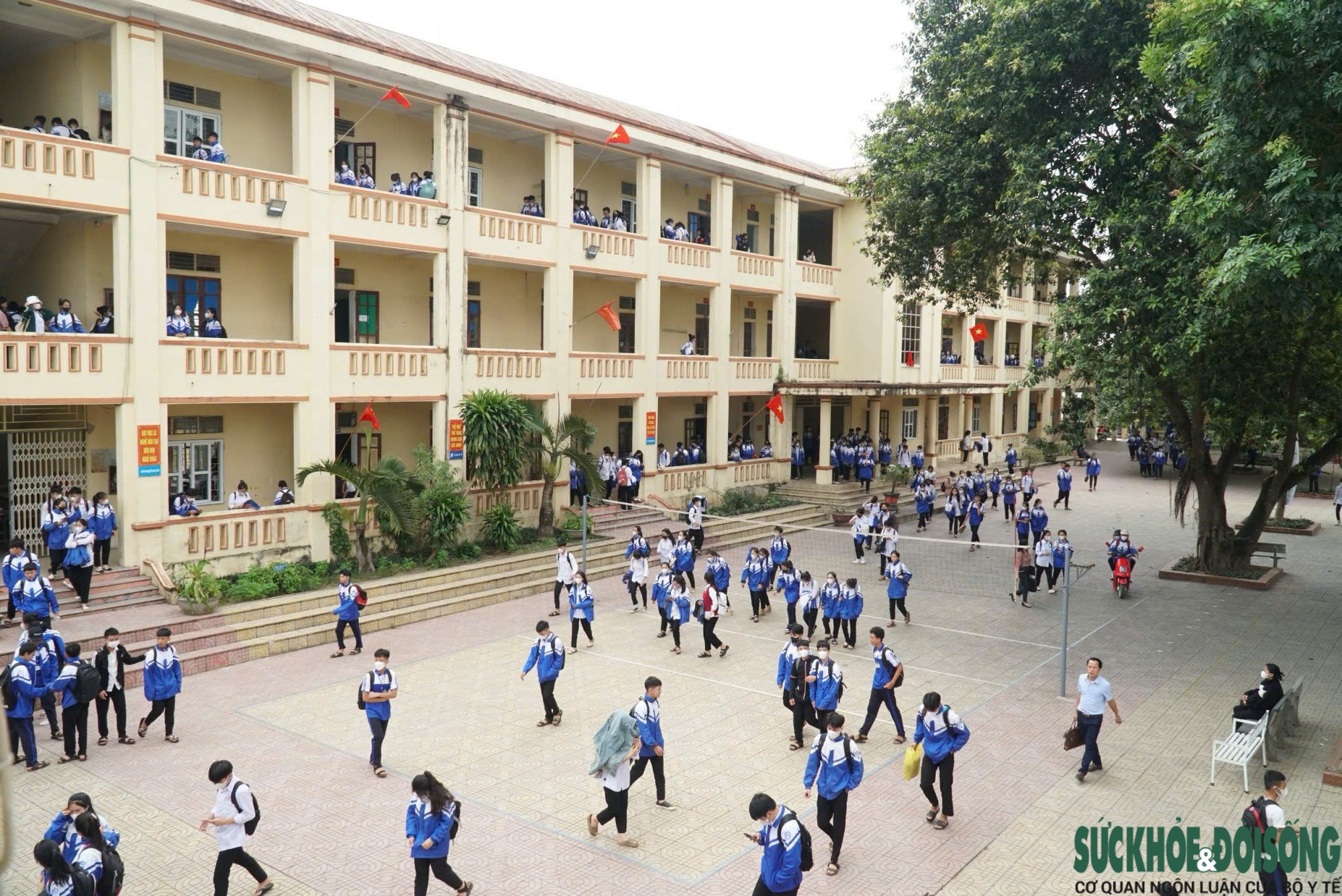 Nghệ An giảm gần một nửa số trường học sau sắp xếp- Ảnh 1.