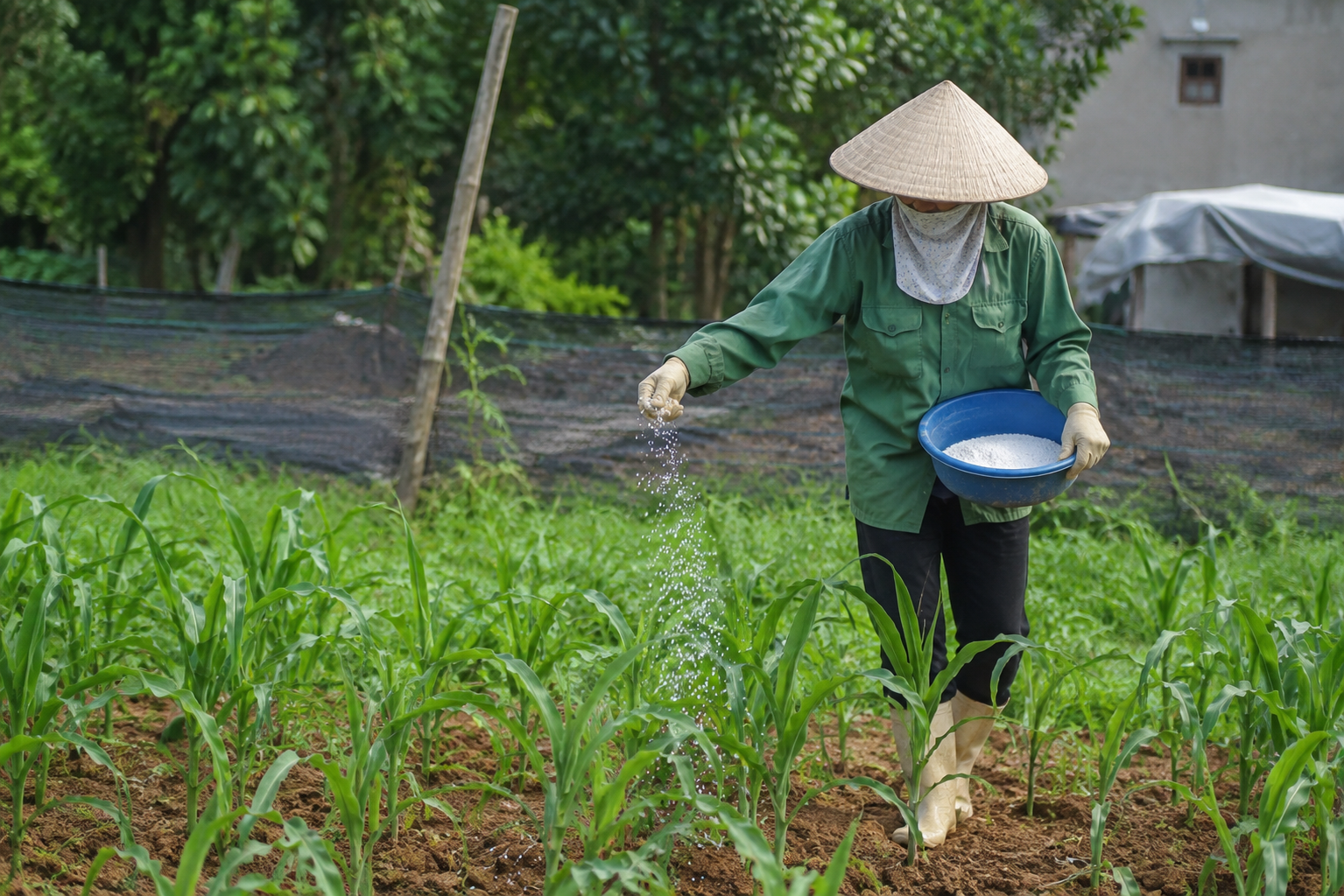 5 nguyên tắc an toàn khi tiếp xúc hoá chất mỗi ngày không được bỏ qua - Ảnh 1.