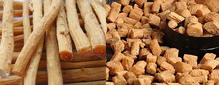 cay-nguu-tat116c3-17874414183031642808970 Hà Tĩnh yêu cầu thu hồi lô thuốc y học cổ truyền Ngưu tất chích rượu- Ảnh 1.