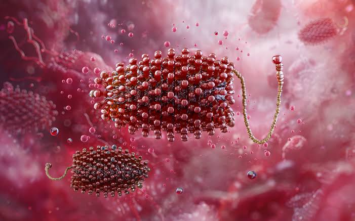 Diễn Biến Đáng Lo Ngại: Bệnh Virus Chandipura Tại Ấn Độ