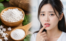 Lễ Bổ Nhiệm Lãnh Đạo Mới Tại Học Viện Y – Dược Học Cổ Truyền Việt Nam