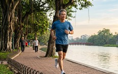 Khám Phá 8 Nhóm Thực Phẩm Giúp Da Chậm Lão Hóa Ở Người Trên 50