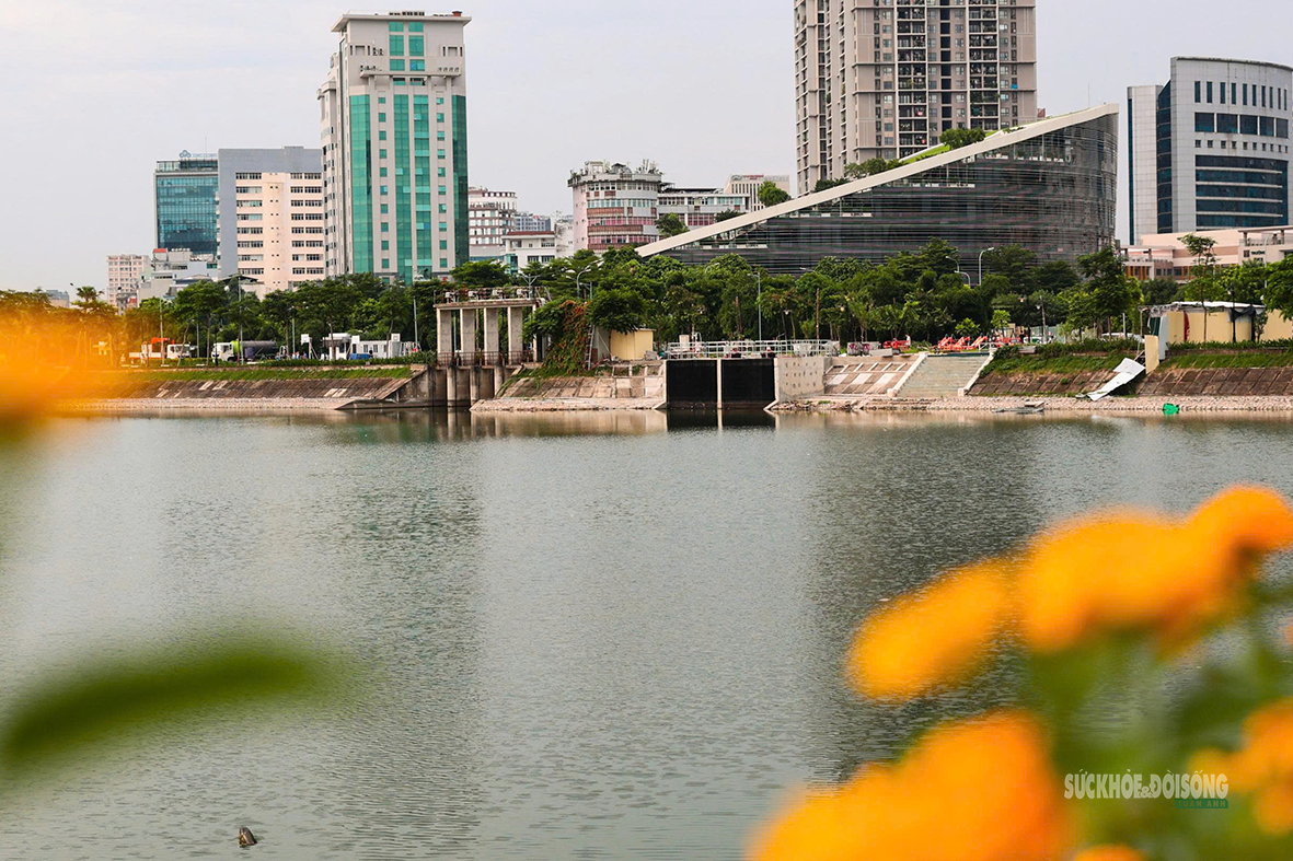 Công Viên An Hòa: Điểm Đến Yêu Thích Cho Sức Khỏe Cộng Đồng