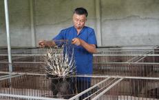 Nghệ An Nhanh Chóng Ứng Phó Hậu Quả Mưa Lớn, Đảm Bảo An Toàn Cho Cư Dân