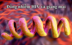 Giải Pháp Tăng Cường Sinh Lý Nam: Từ Biện Pháp Tự Nhiên Đến Sản Phẩm Chất Lượng