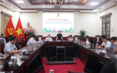 Cứu Cụ Bà Nguy Kịch Do Tăng Mỡ Máu: Quy Trình Điều Trị Hiệu Quả
