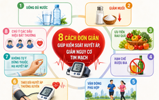Top 4 Món Ăn Giàu Kali Bổ Sung Cho Tim Mạch Và Hệ Thần Kinh