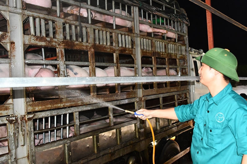 Hà Nội tăng cường kiểm soát dịch bệnh động vật