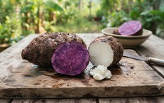Tại Sao Hệ Tiêu Hóa Quan Trọng Đối Với Sự Phát Triển Của Trẻ Em