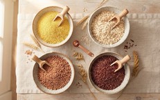 Kẽm Chelate: Giải Pháp Dinh Dưỡng Thiết Yếu Giúp Tăng Cường Miễn Dịch