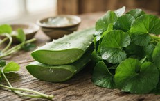 Chế Độ Ăn Lành Mạnh Hỗ Trợ Collagen Sau Tuổi 50