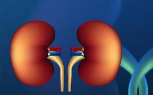 Cần Lưu Ý Gì Khi Tiêm Thuốc Cản Quang Trong Chụp CT, MRI Ở Người Bệnh Thận Mạn?