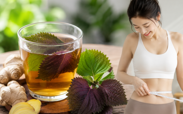 Nguy cơ khi sử dụng bút tiêm giảm cân không rõ nguồn gốc
