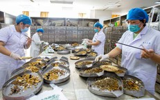 Tầm Quan Trọng Của Bảo Hiểm Y Tế Trong Việc Chi Trả Các Ca Bệnh Nặng