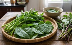 Giải Pháp Đông Y Cho Vấn Đề Chán Ăn Ở Người Cao Tuổi