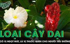 Câu Chuyện Cảnh Báo Về Sức Khỏe Từ Thói Quen Ẩm Thực
