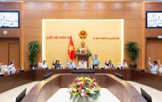 Chấn Động Vụ Giết Người Tại Quảng Ngãi: Khởi Tố Nghi Phạm Chỉ Mới 16 Tuổi