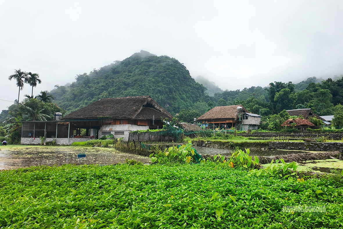 thon-tha-giu-nep-nha-san-mo-sinh-ke-tu-van-hoa-tay-4-17856386016701949031838 Thôn Tha gìn giữ văn hóa Tày và phát triển du lịch bền vững năm 2026 - Ảnh 6.