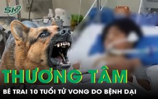 Cảnh Báo Sức Khỏe: Ba Trẻ Nhập Viện Vì Viêm Ruột Thừa Vỡ