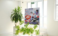 Tăng Cường Hệ Thống Y Tế và Phòng Ngừa Bệnh Tật: Cách Tiếp Cận Mới