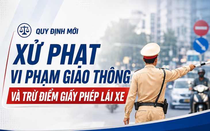 Chủ xe vi phạm giao thông nhiều lần- Ảnh 1.