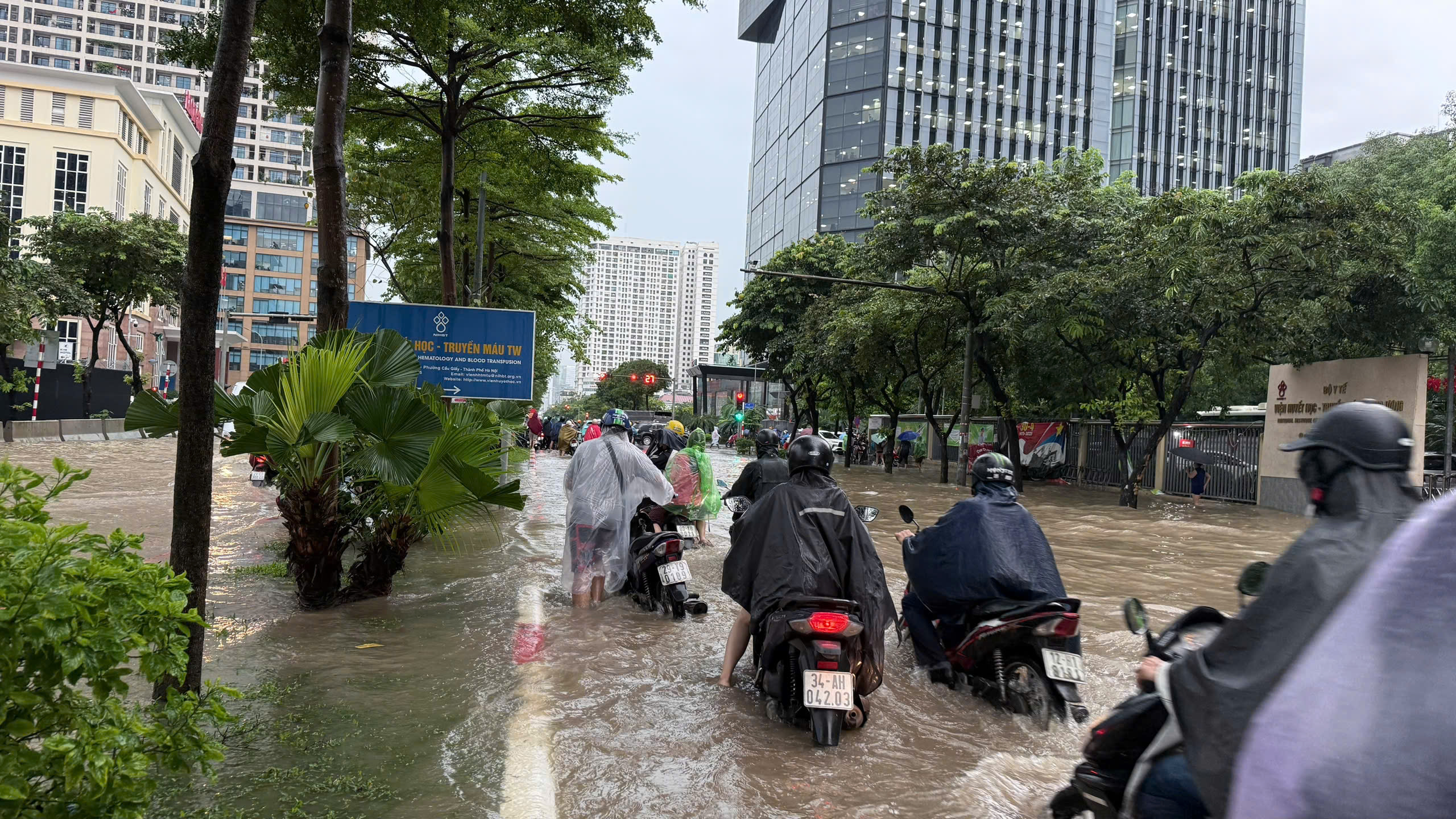 Dự Báo Mưa Dông Giải Nhiệt Miền Bắc- Ảnh 1.