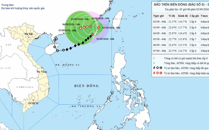 Tin Đồn Lừa Đảo Liên Quan Đến Bão Số 5 Cần Lưu Ý