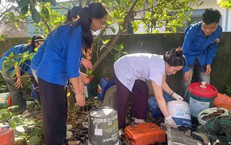 TP.HCM Tăng Cường Khám Sức Khỏe Định Kỳ: Nhìn Nhận và Khuyến Nghị